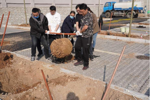 植樹(shù)節活動(dòng)新聞稿347.png